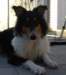 dsc08179_small.jpg