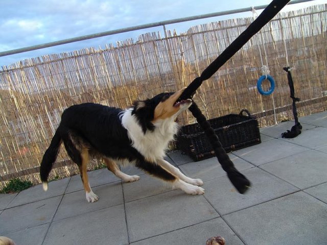 dsc08182.jpg
