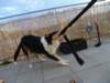 dsc08182_small.jpg