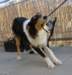 dsc08192_small.jpg