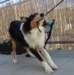 dsc08194_small.jpg