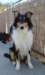 dsc08197_small.jpg