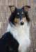 dsc08202_small.jpg