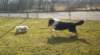 spa50067_small.jpg