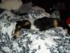 dsc07899_small.jpg