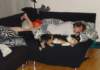 dsc07901_small.jpg