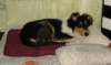 dsc08096_small.jpg