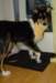 dsc08097_small.jpg