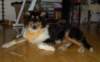 dsc08102_small.jpg