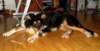 dsc08105_small.jpg