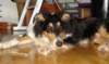 dsc08106_small.jpg
