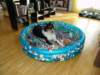 dsc08111_small.jpg