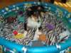 dsc08113_small.jpg