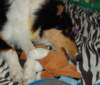 dsc08114_small.jpg