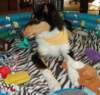 dsc08118_small.jpg