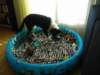 dsc08119_small.jpg