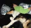 dsc08122_small.jpg