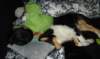 dsc08123_small.jpg