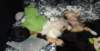 dsc08124_small.jpg