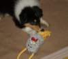 dsc07417_small.jpg