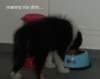 dsc07419_small.jpg