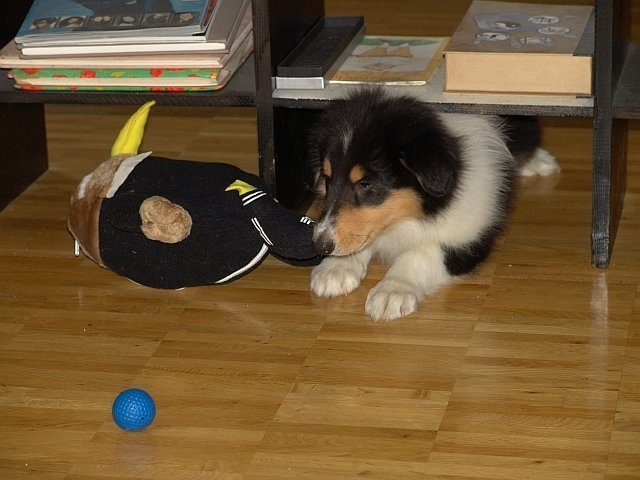 dsc07424.jpg
