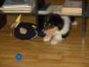 dsc07424_small.jpg