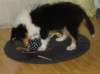 dsc07425_small.jpg