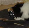 dsc07426_small.jpg