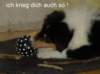 dsc07427_small.jpg