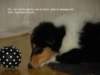 dsc07429_small.jpg