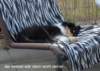 dsc07431_small.jpg