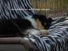 dsc07433_small.jpg