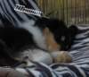 dsc07434_small.jpg