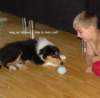 dsc07442_small.jpg