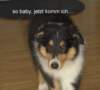 dsc07471_small.jpg