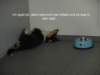 dsc07475_small.jpg