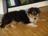 dsc07479_small.jpg