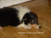 dsc07480_small.jpg