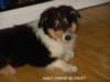 dsc07481_small.jpg