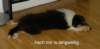 dsc07482_small.jpg