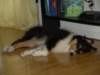 dsc07484_small.jpg