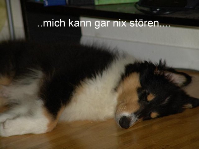 dsc07485.jpg