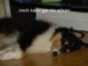 dsc07485_small.jpg