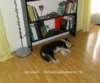 dsc07486_small.jpg