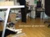 dsc07488_small.jpg