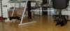 dsc07489_small.jpg