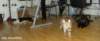 dsc07490_small.jpg