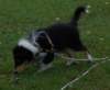 dsc07501_small.jpg