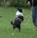 dsc07504_small.jpg